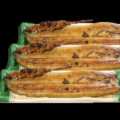 廻鮮江戸前すし 魚魚丸】コムライングループ
